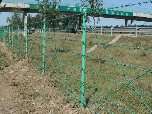 刺绳护栏网